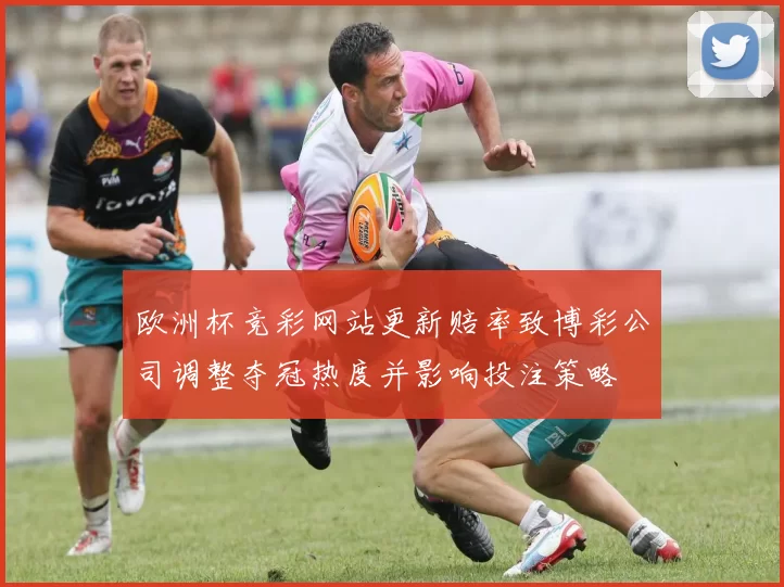 欧洲杯竞彩网站更新赔率致博彩公司调整夺冠热度并影响投注策略