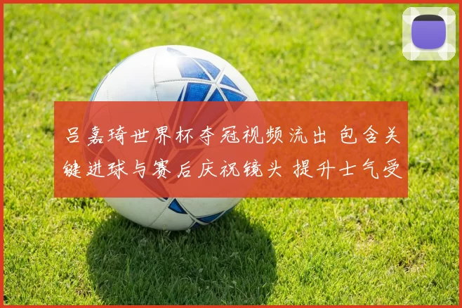 吕嘉琦世界杯夺冠视频流出 包含关键进球与赛后庆祝镜头 提升士气受媒体关注