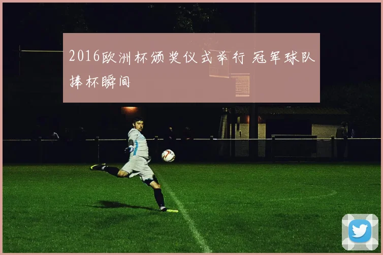 2016欧洲杯颁奖仪式举行 冠军球队捧杯瞬间