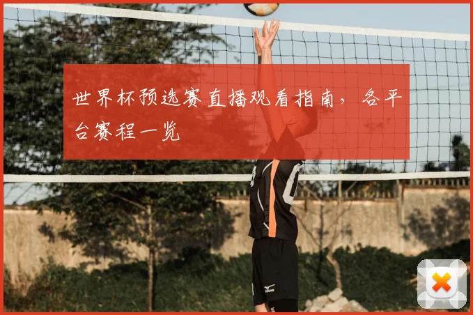 世界杯预选赛直播观看指南，各平台赛程一览