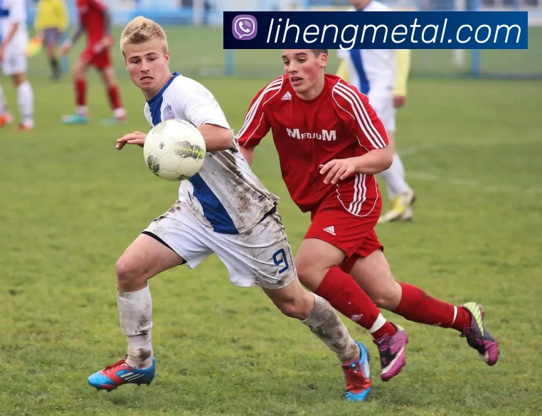 大阳城手机版下载安装(中国)官方网站平台生态图